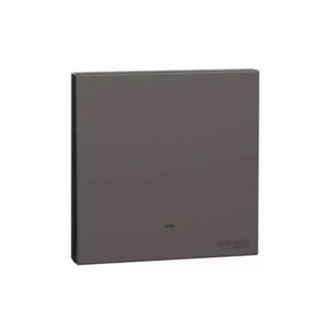 Schneider Electric AvatarOn C Switch with Fluorescent Locator 16AX 250V 1 Gang 1 Way E8731L1F_DG - Dark Grey Schneider Electric AvatarOn C Switch with Fluorescent Locator 16AX 250V 1 Gang 1 Way E8731L1F_DG - Dark Grey