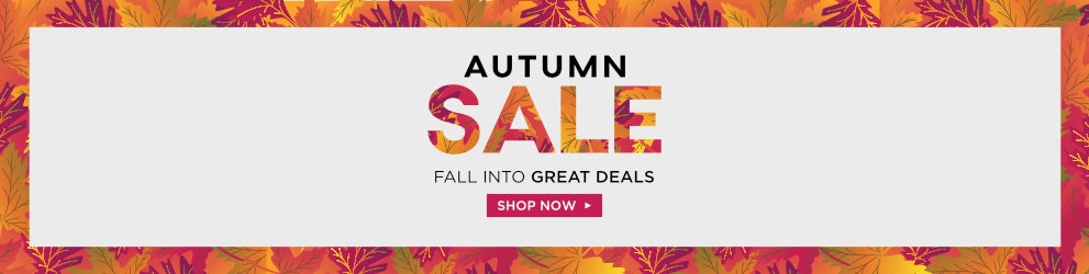 main banner for autumn sale