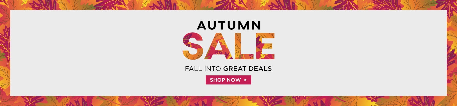 main banner for autumn sale