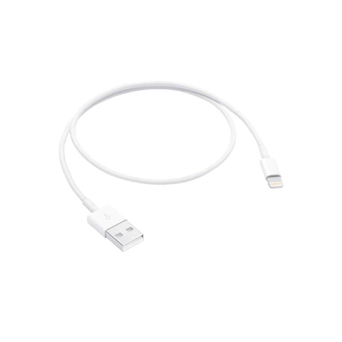 Apple Lightning to USB Cable (0.5m)