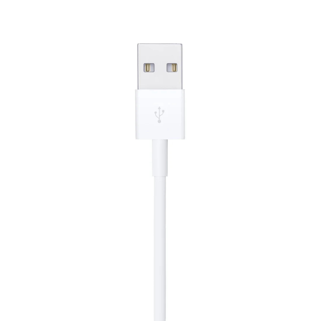 Apple Lightning to USB Cable (0.5m)