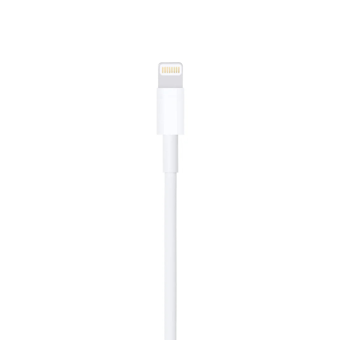 Apple Lightning to USB Cable (0.5m)
