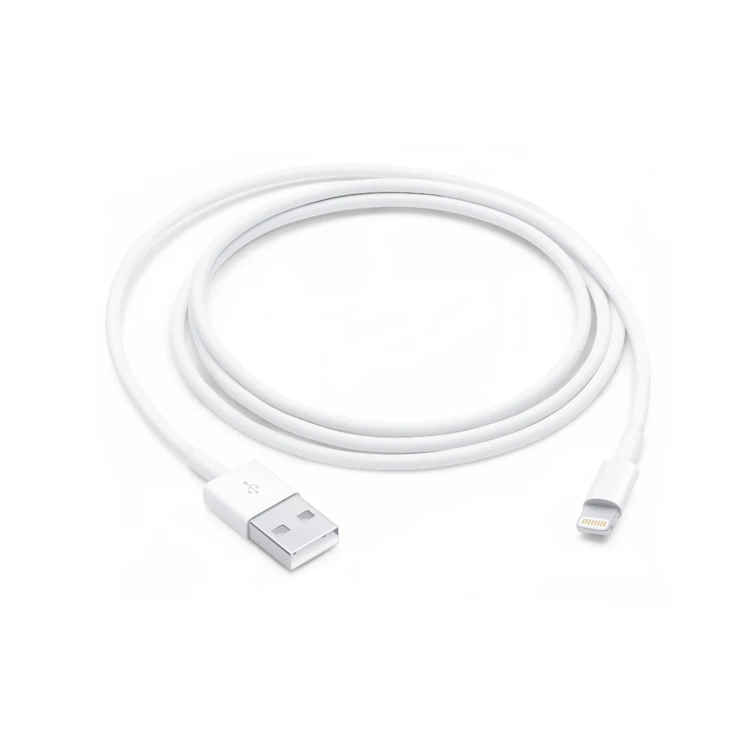 Apple Lightning to USB Cable (1m)