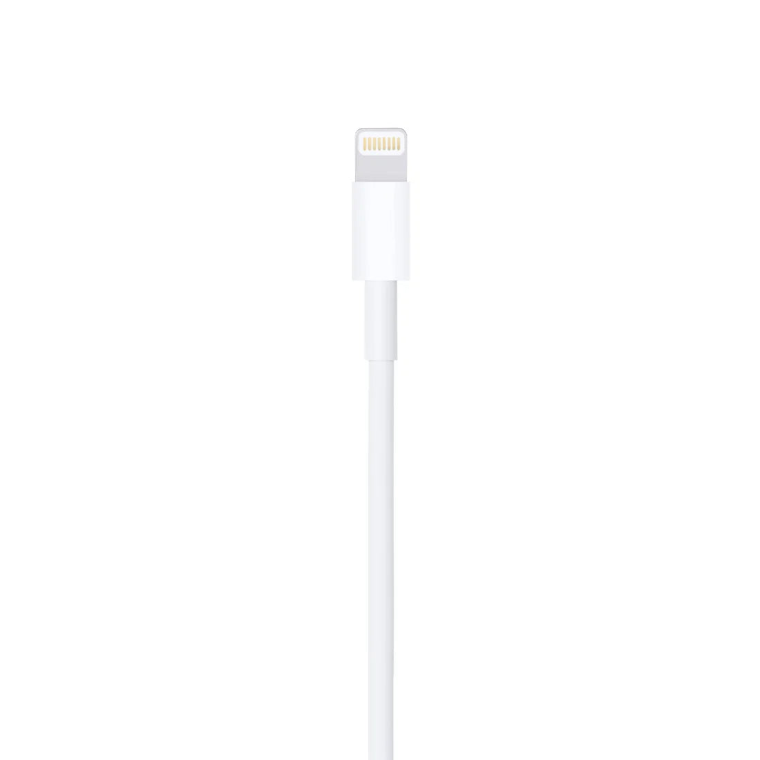 Apple Lightning to USB Cable (1m)