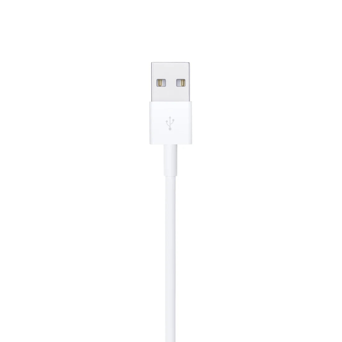 Apple Lightning to USB Cable (1m)