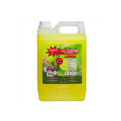 Aqua All Purpose Cleaner Liquid Lemon - 5 Ltr - Slide 1