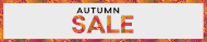 summer sale small banner