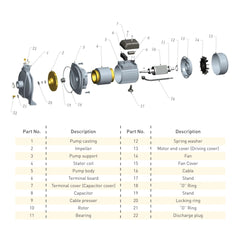 RR 1.5HP Centrifugal Water Pump RRCP-1.5S-121 - Slide 2
