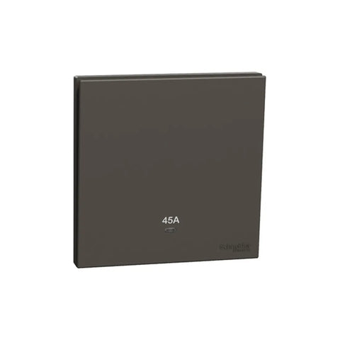 Schneider Electric AvatarOn C Double Pole Switch with LED 45A 250V 1 Gang E8731D45N_DG - Dark Grey