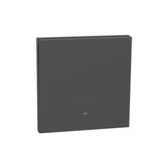 Schneider Electric AvatarOn C Momentary Switch with Fluorescent Lamp 10A 250V 1 Gang E8731PRF_DG - Dark Grey - Slide 1