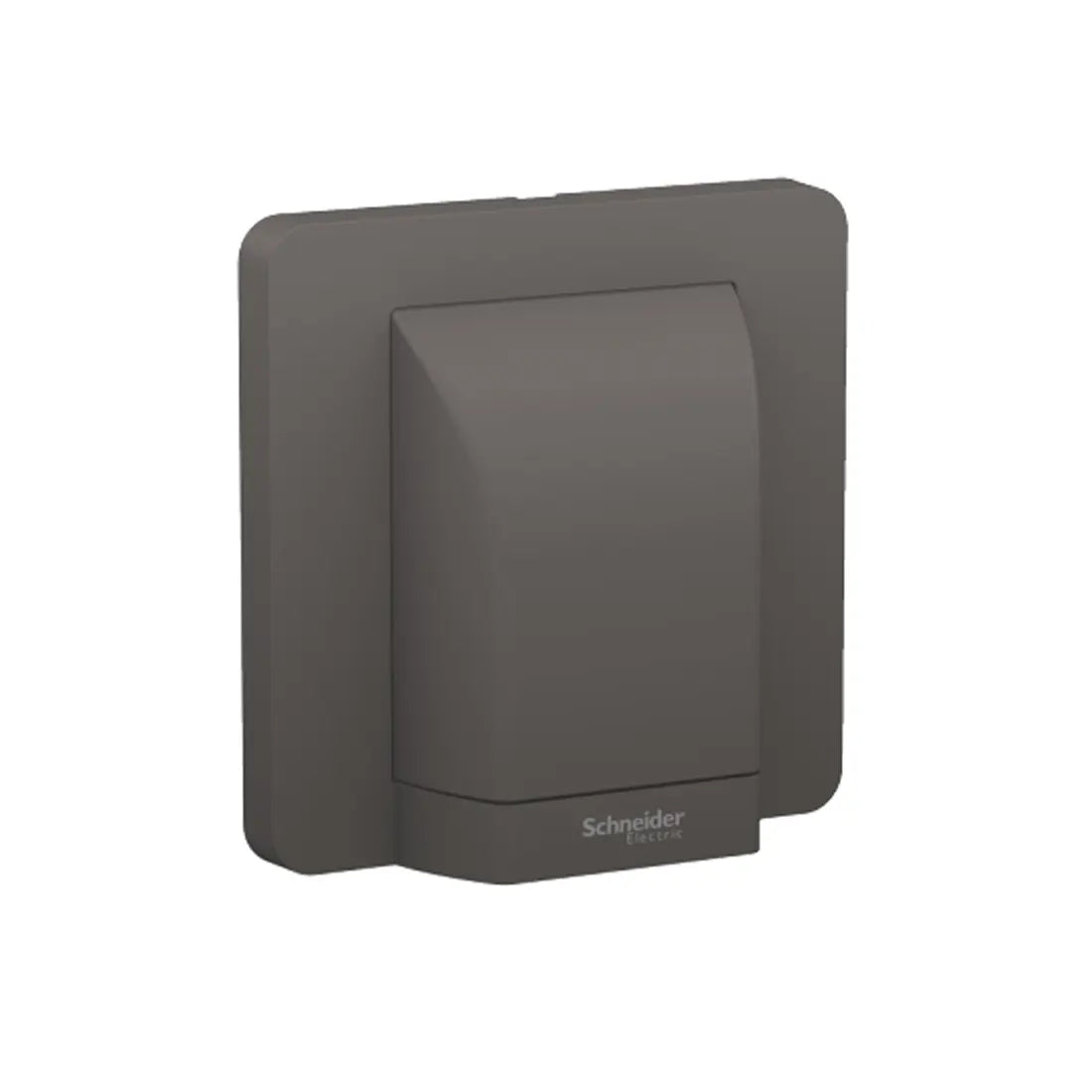 Schneider Electric AvatarOn Fused Connection 45A 250V E83554_DG - Dark Gray