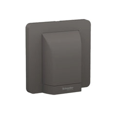 Schneider Electric AvatarOn Fused Connection 45A 250V E83554_DG - Dark Gray - Slide 1