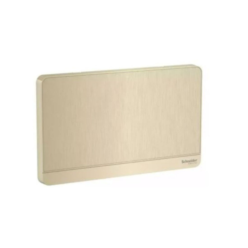 Schneider Electric AvatarOn 2 Gang Blank Plate E8330TX_GH Metal Gold Hairline in Dubai, UAE