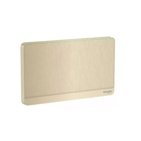 Schneider Electric AvatarOn 2 Gang Blank Plate E8330TX_GH - Metal Gold Hairline