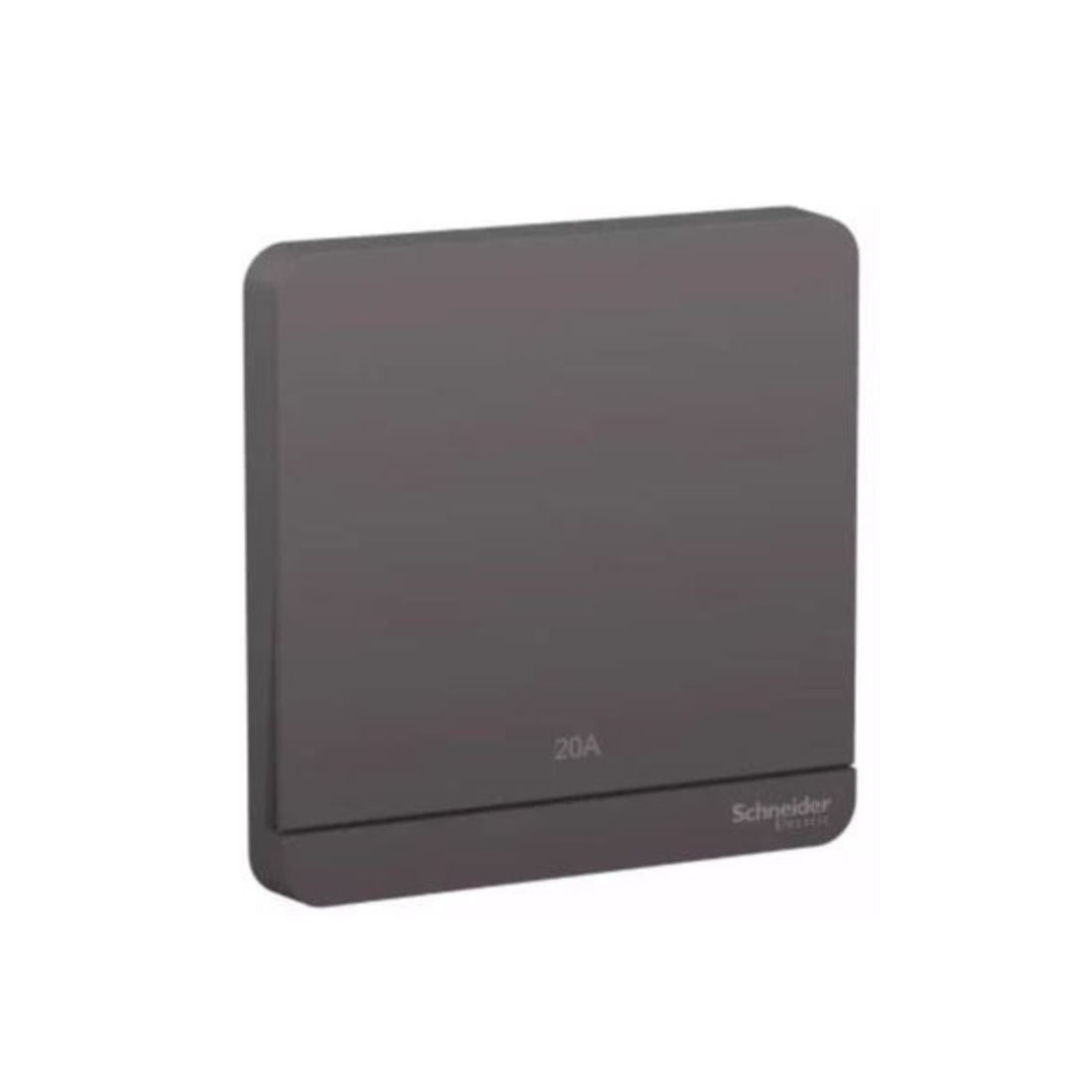 Schneider Electric AvatarOn Switch 20A 250V 2P LED E8331D20N_DG - Dark Grey