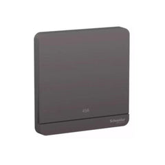 Schneider Electric AvatarOn Switch 45A 250V 2P LED E8331D45N_DG - Dark Grey - Slide 1