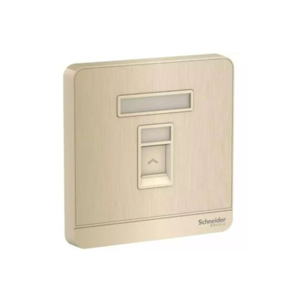 Schneider Electric AvatarOn Wallplate for Keystone RJ45 E8331RJS_GH Metal Gold Hairline in Dubai, UAE