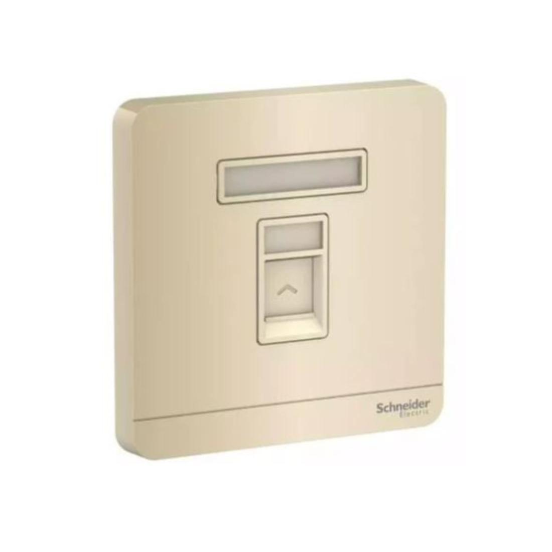 Schneider Electric AvatarOn Wallplate for Keystone RJ45 E8331RJS_WG - Wine Gold