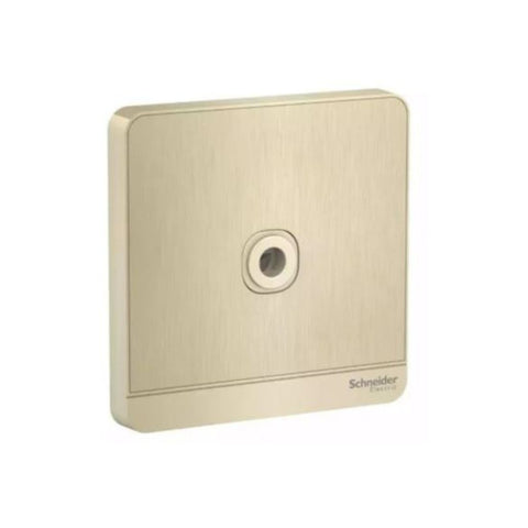 Schneider Electric AvatarOn Fused Connection 25A 250V E8331TB_GH - Metal Gold Hairline