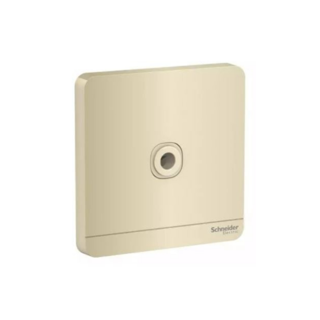 Schneider Electric AvatarOn Fused Connection 25A 250V E8331TB_WG Wine Gold in Dubai, UAE