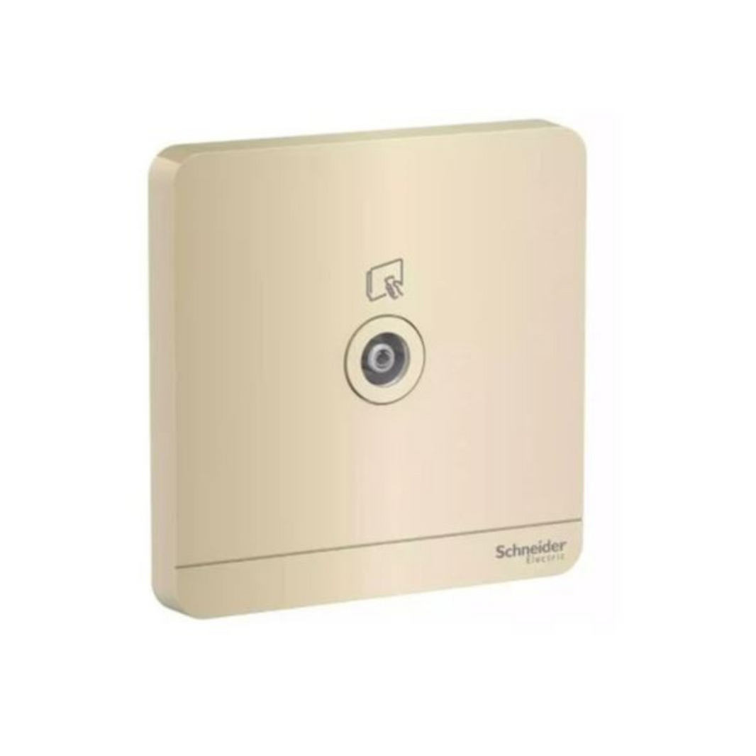 Schneider Electric AvatarOn E8331TV_WG TV Socket 75 Ohm Wine Gold in Dubai, UAE