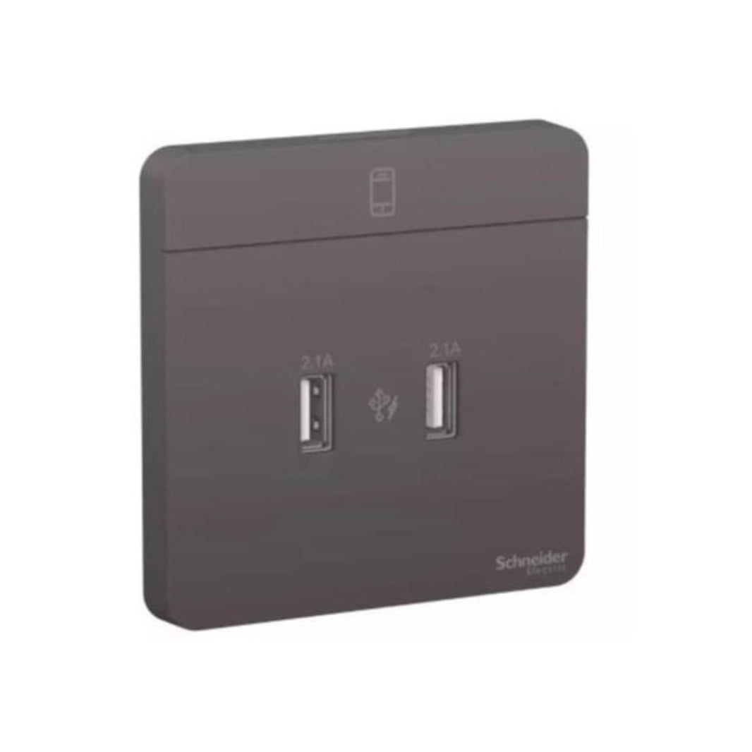 Schneider Electric AvatarOn 2 USB Charger 2.1A E8332USB_DG Dark Grey in Dubai, UAE