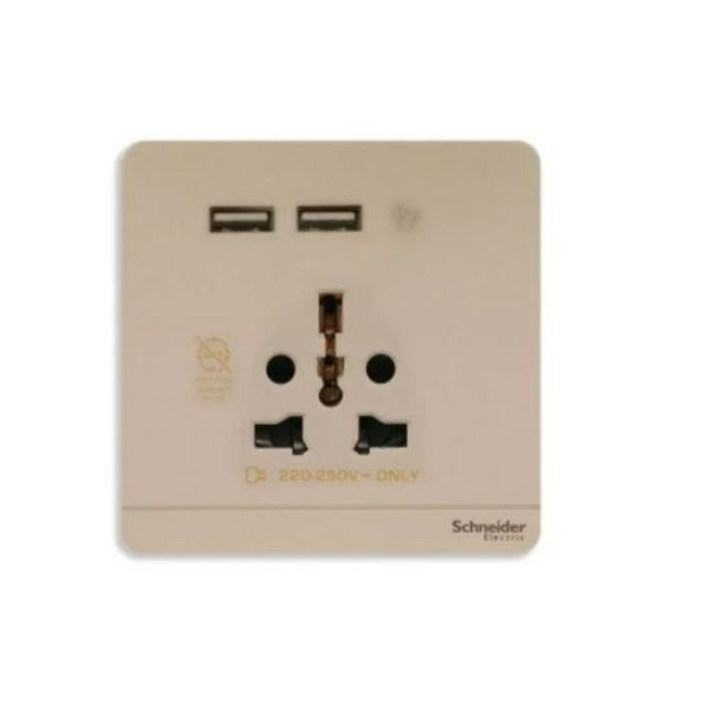 Schneider Electric AvatarOn 2 USB Charger + Socket-Outlet 16A 2P E8342616USB_WG Wine Gold in Dubai, UAE