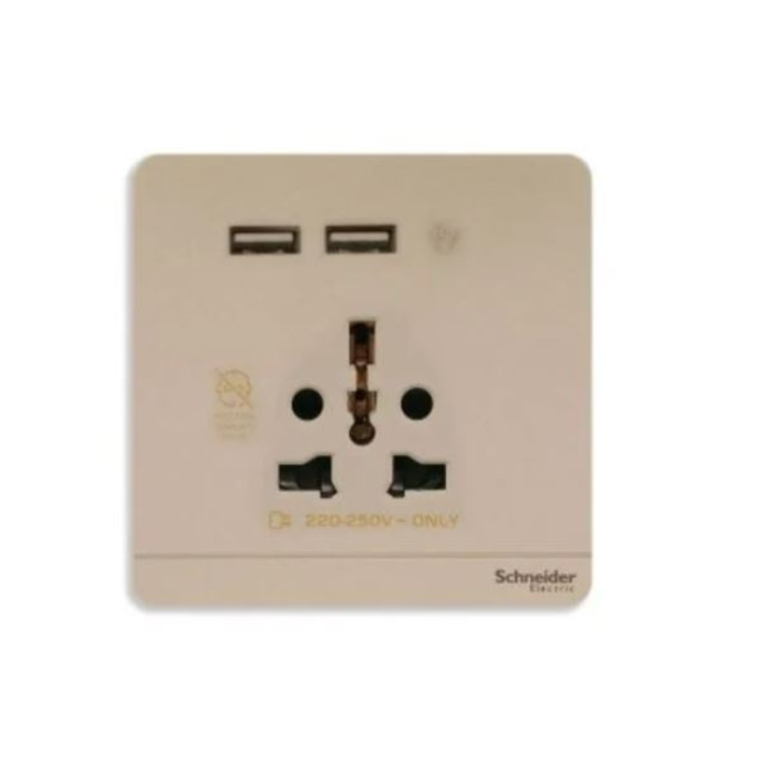Schneider Electric AvatarOn 2 USB Charger + Socket-Outlet 16A 2P E8342616USB_WG - Wine Gold