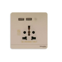Schneider Electric AvatarOn 2 USB Charger + Socket-Outlet 16A 2P E8342616USB_WG - Wine Gold - Slide 1