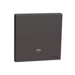 Schneider Electric Momentary Switch 32A 250V 1G E8731D32N_DG - Dark Grey - Slide 1