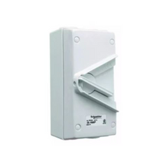 Schneider Electric 35A 440V Surface Mount Double Pole Isolating Switch IP66 WHD35 - Slide 1