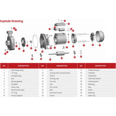 Spaino 2HP Centrifugal Water Pump SPM200 - Slide 3
