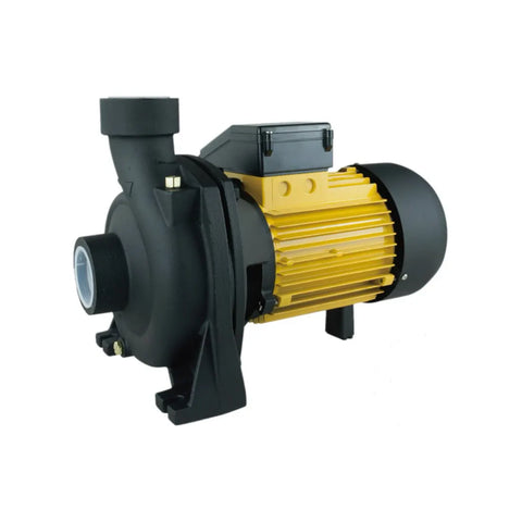 Spaino 2HP Centrifugal Water Pump SPM200