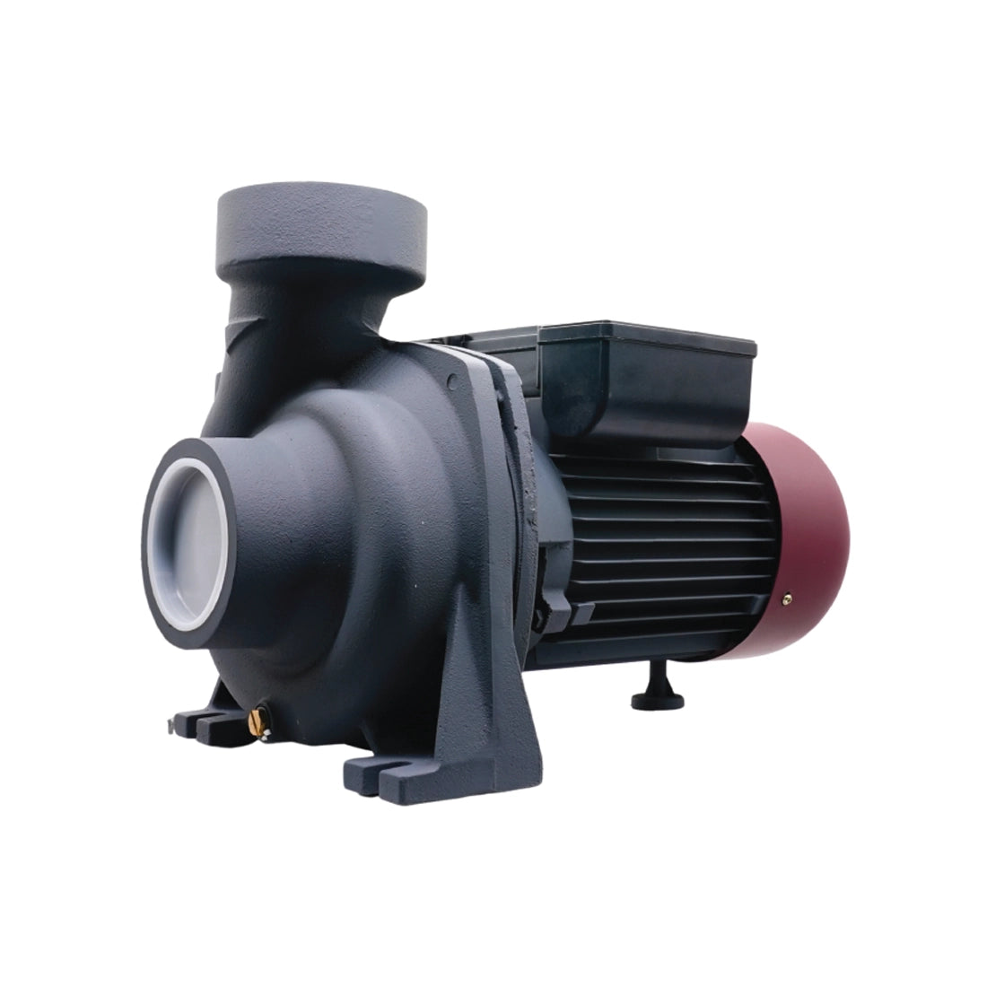 Techno Pumps 3HP Three Phase Centrifugal Water Pump TECH-CP30T