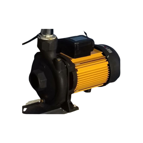 Vespa Water Pump Monoblock 3HP 3 Phase 2x2 Outlet, MAP300/T2