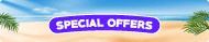 summer sale small banner