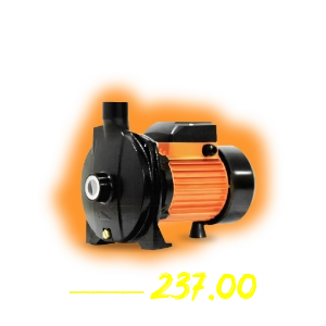 RR 1HP Centrifugal Water Pump RRCP-1.0S-11