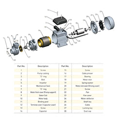 RR 0.5HP Water Pump RRP-0.5S-11 - Slide 3